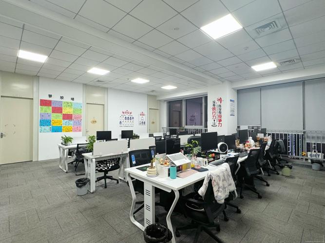 数字文化创意软件开发 从概念到产业实践的全景指南